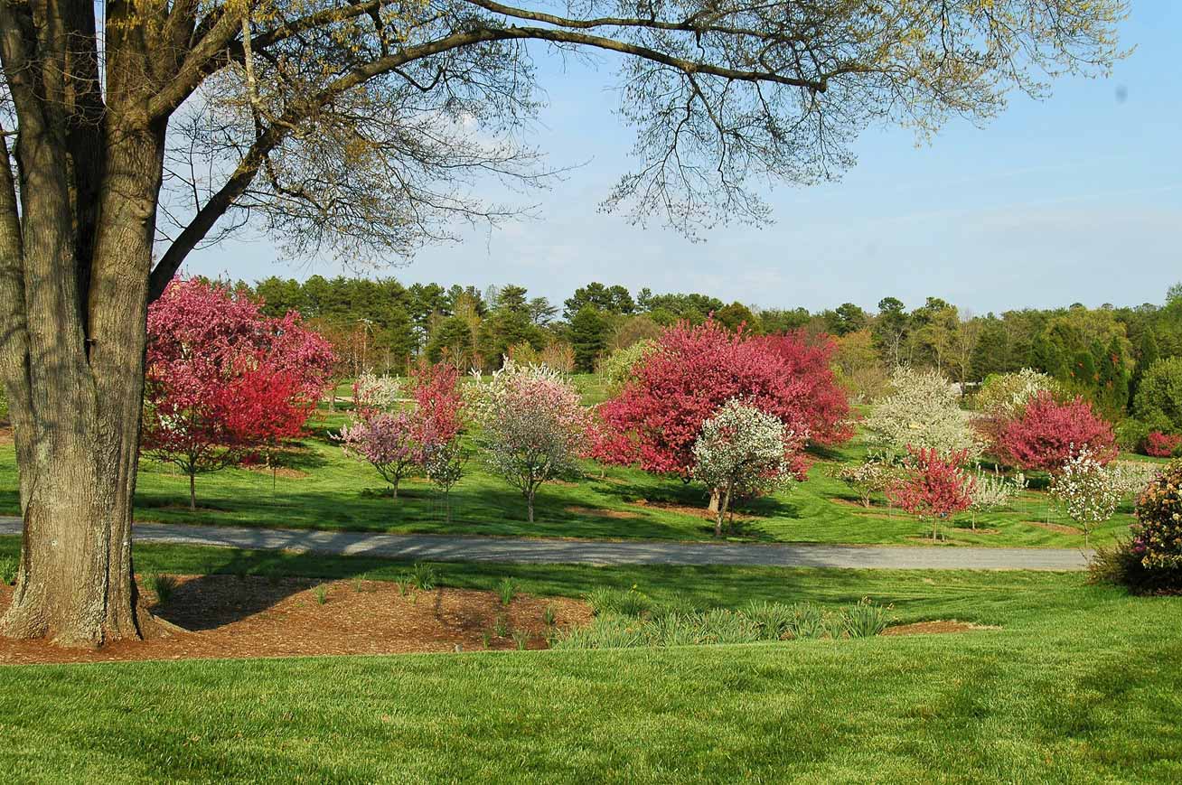Lab grounds