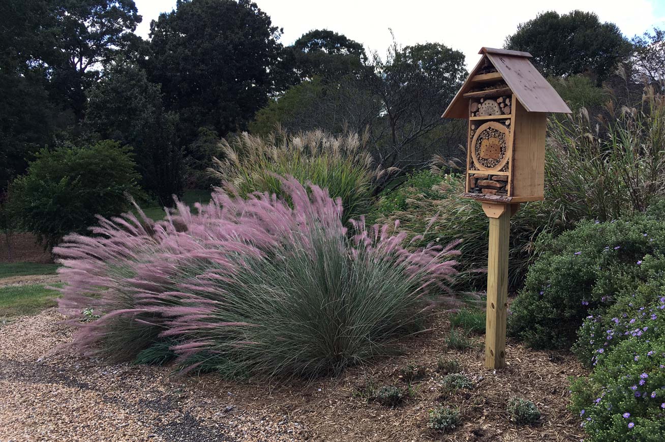 Pollinator garden