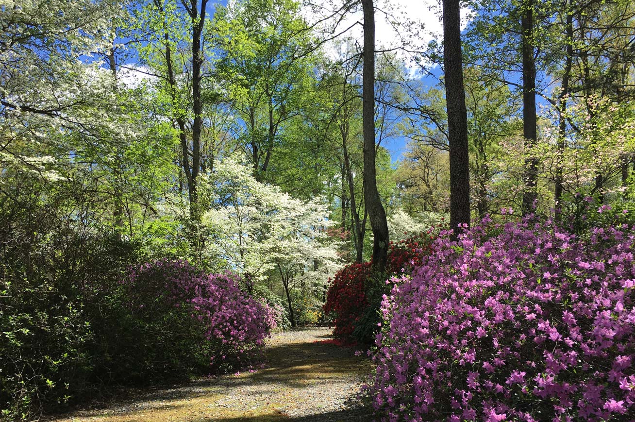 Rhodie garden entrance