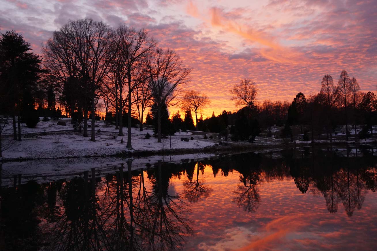 Sunset over conifer pond