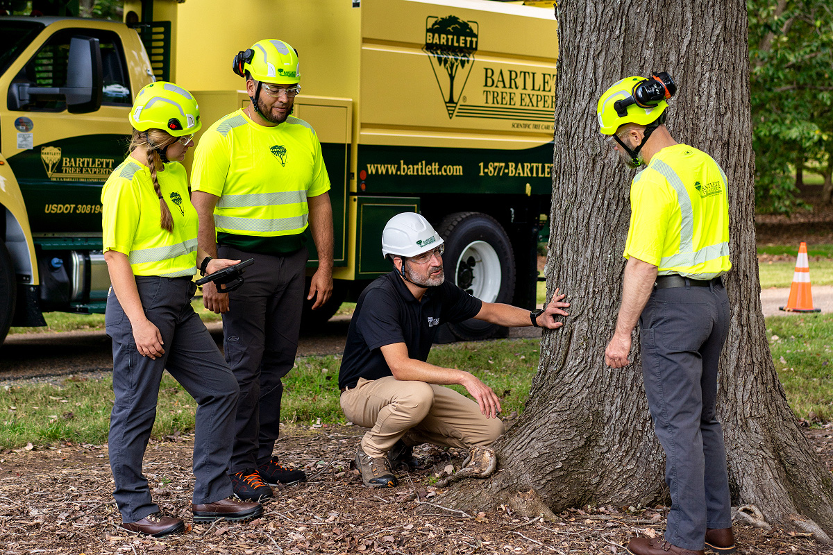 arborist-training-programs