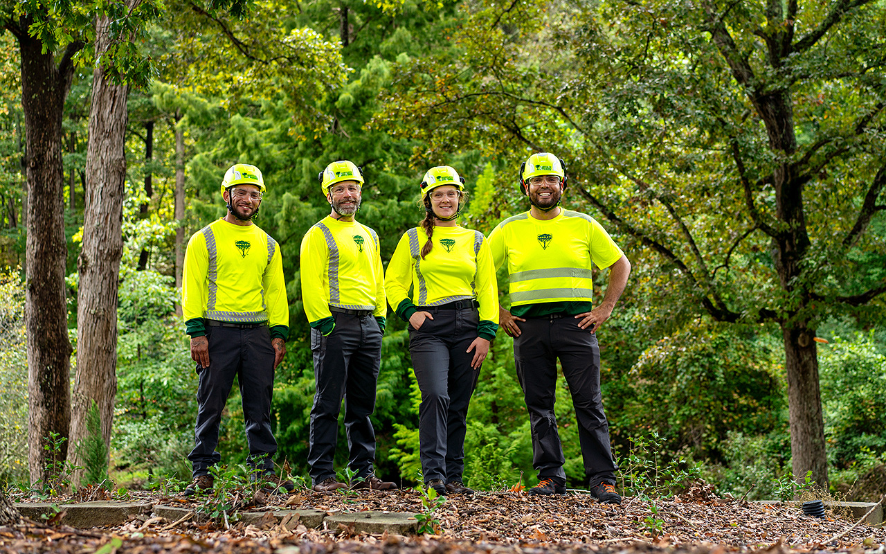 expert-tree-service-crew