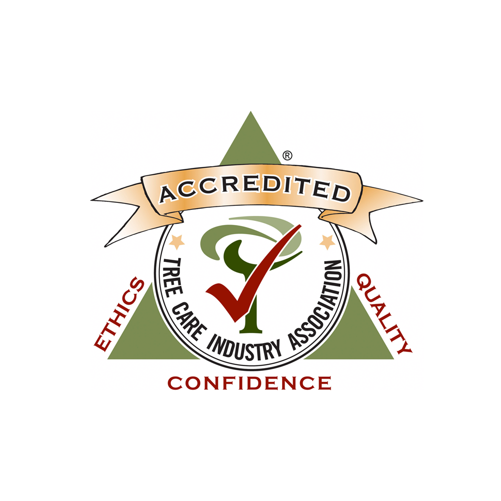 Tree Care Industry Accreditation