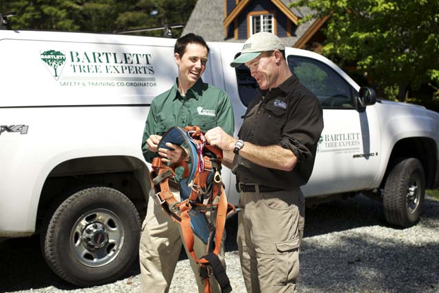 Safety commitment