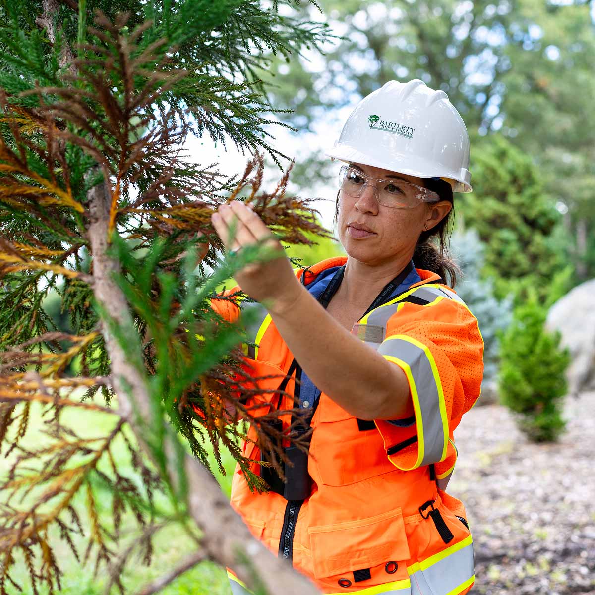 Environmental consulting
