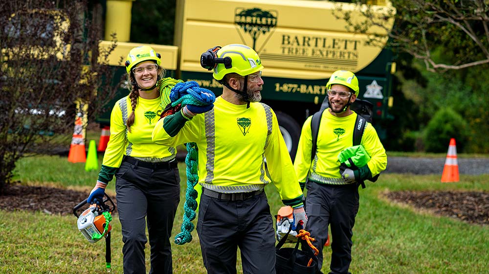 Safety from head to toe