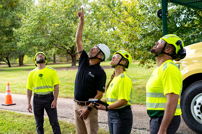 Safety is a team sport