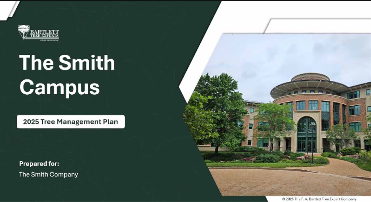 Proactively managing and growing landscape assets