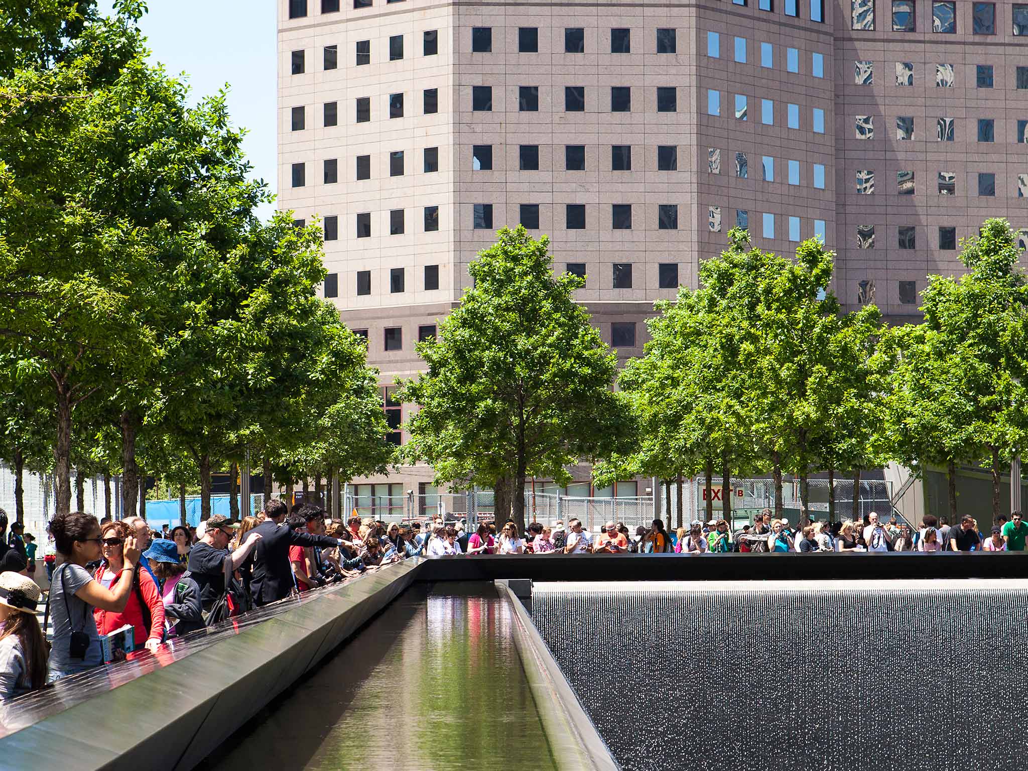 The Survivor Tree at the 9/11 Memorial
