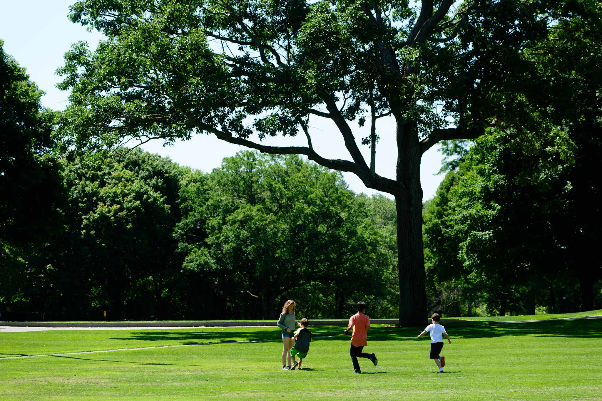 Middlesex School campus with trees