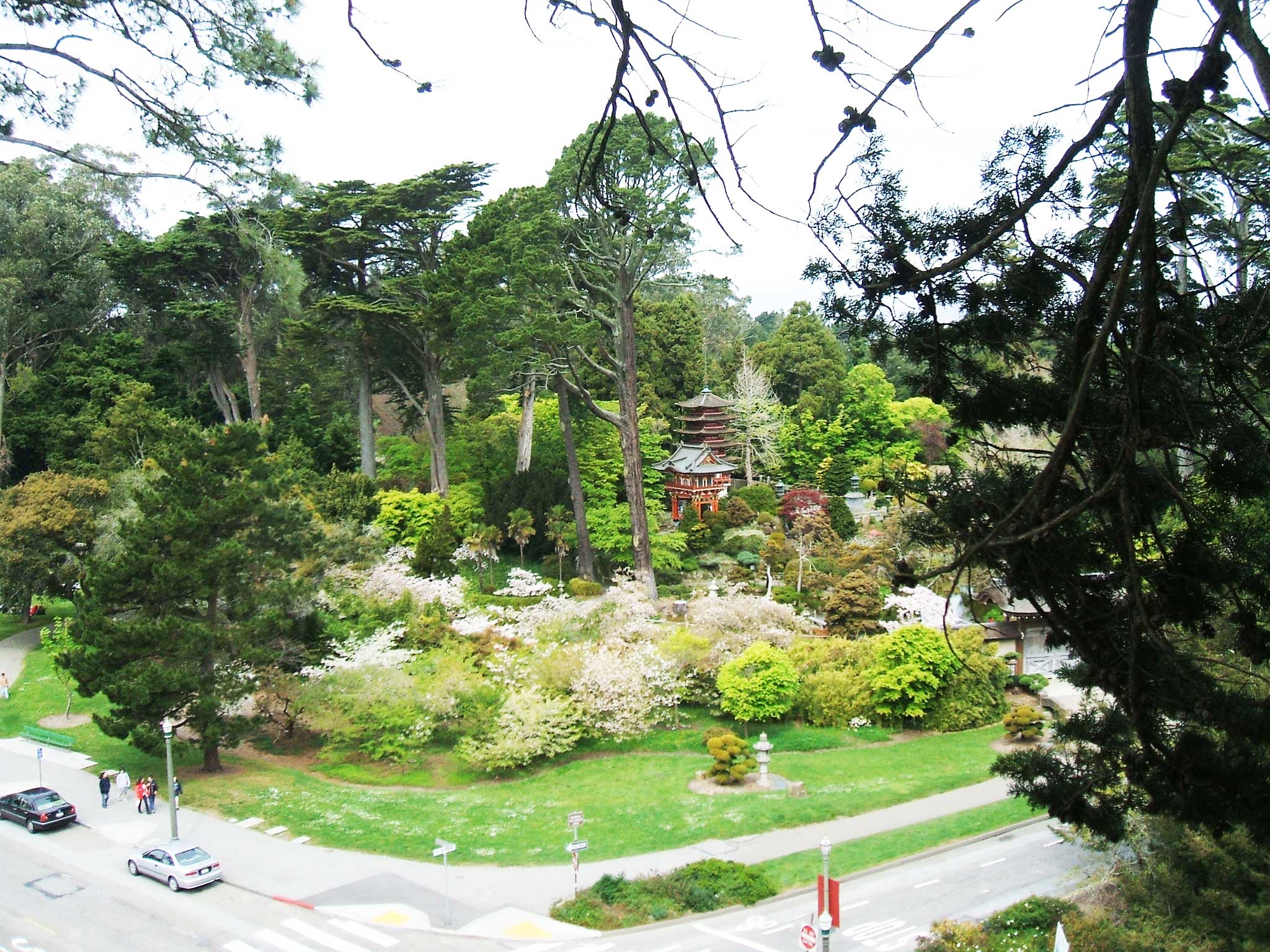 San Francisco Botanical Garden overview