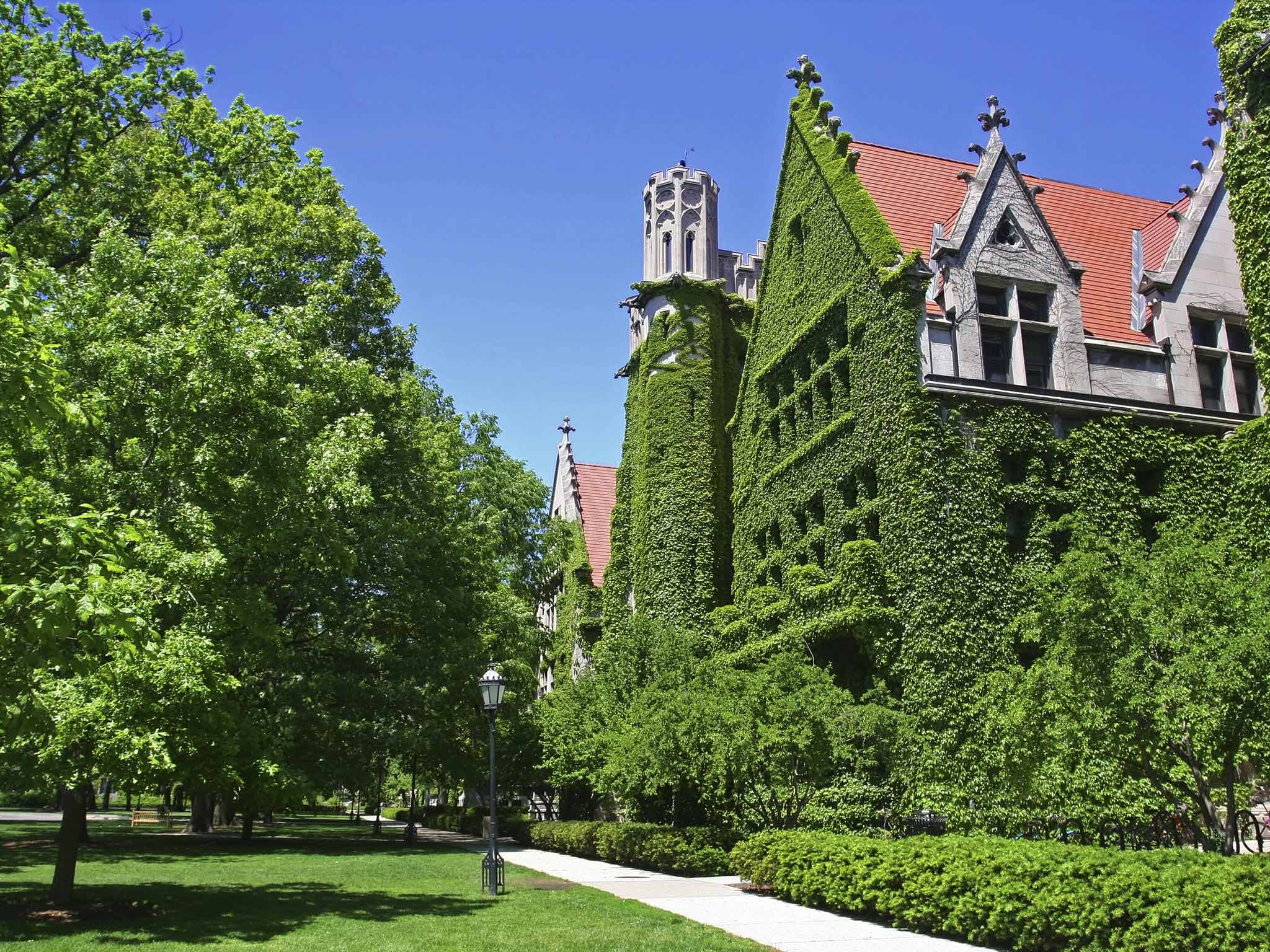 University of Chicago campus trees