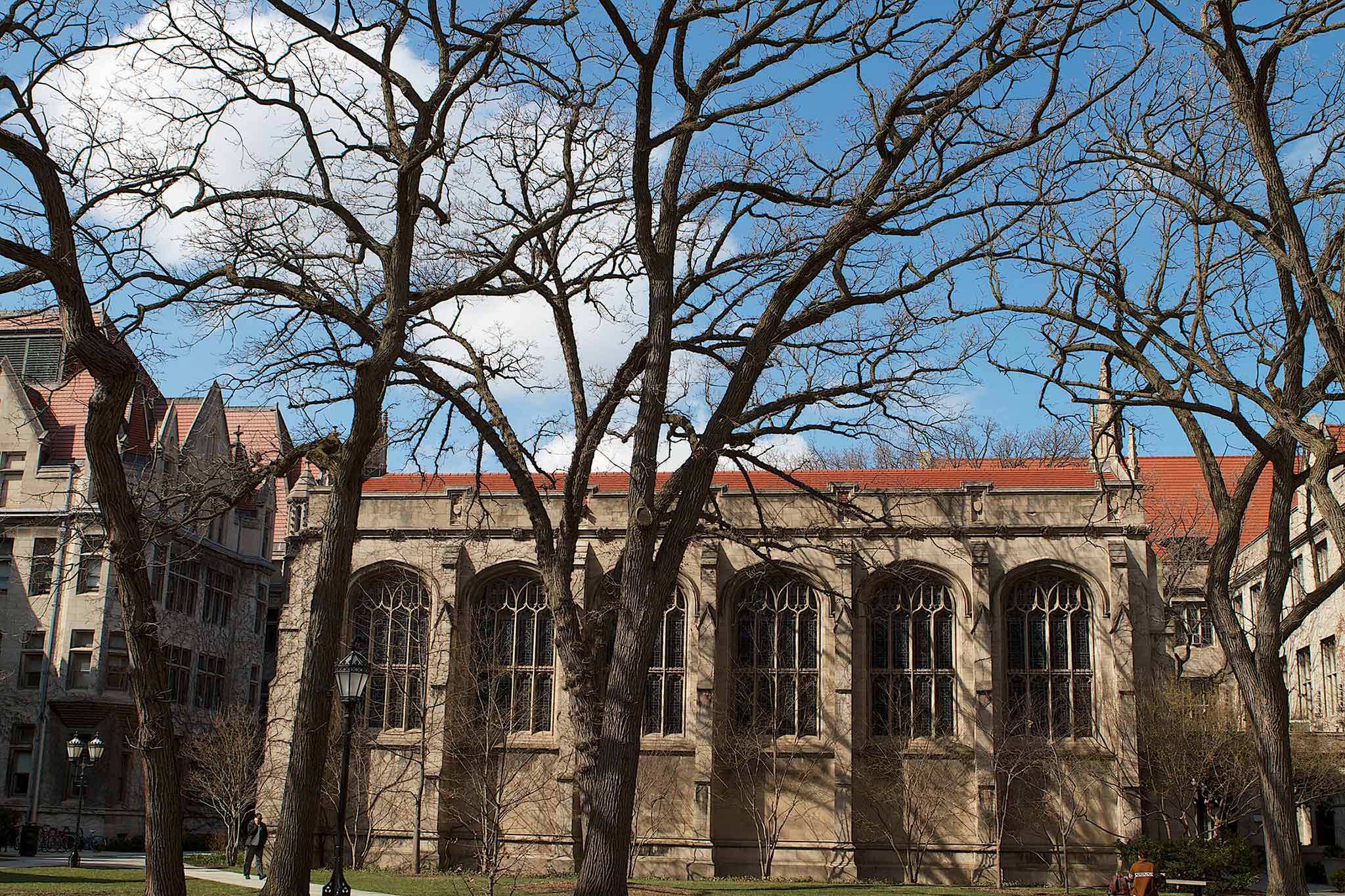 Long-term benefits of tree management