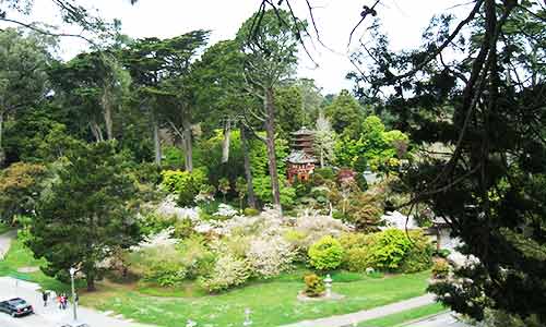 San Francisco Botanical Garden Pagoda