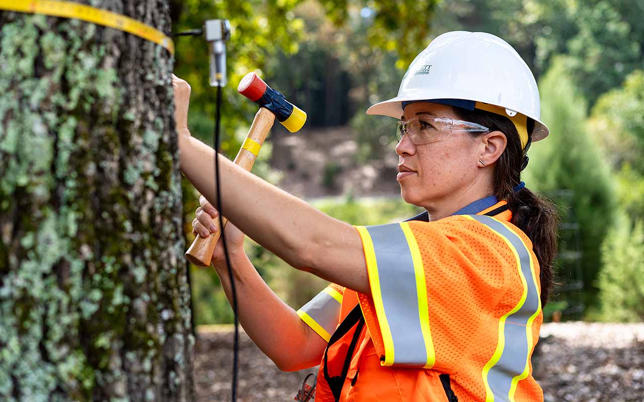 Bartlett Tree Experts