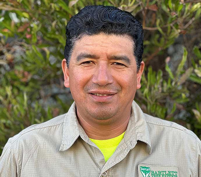 Alfredo Juarez, Local Office Safety Coordinator serving the San Rafael, CA office of Bartlett Tree Experts